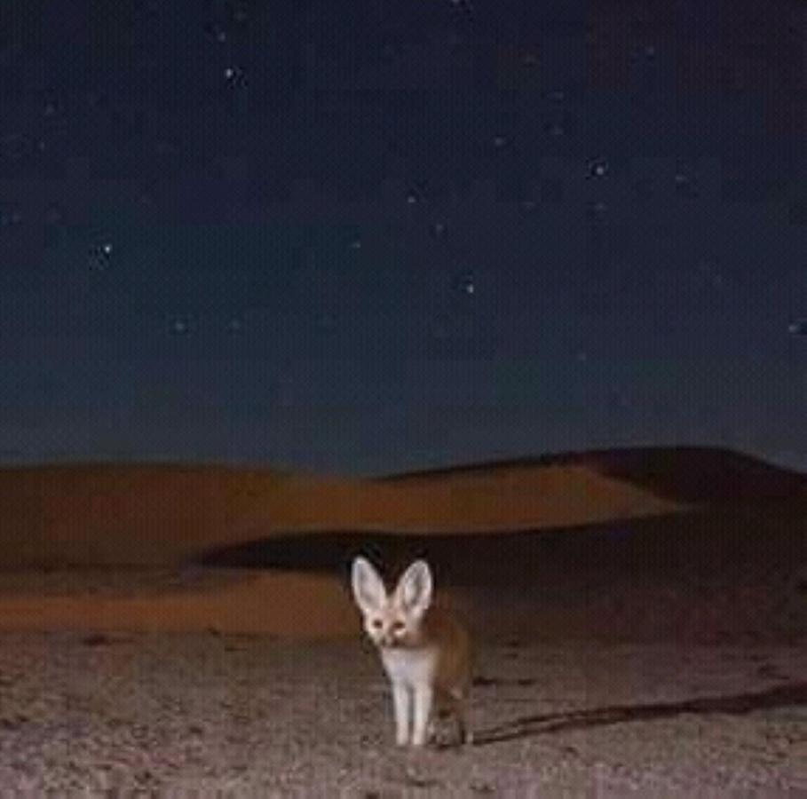 Отель Restcamp Ergchebbi Мерзуга Экстерьер фото